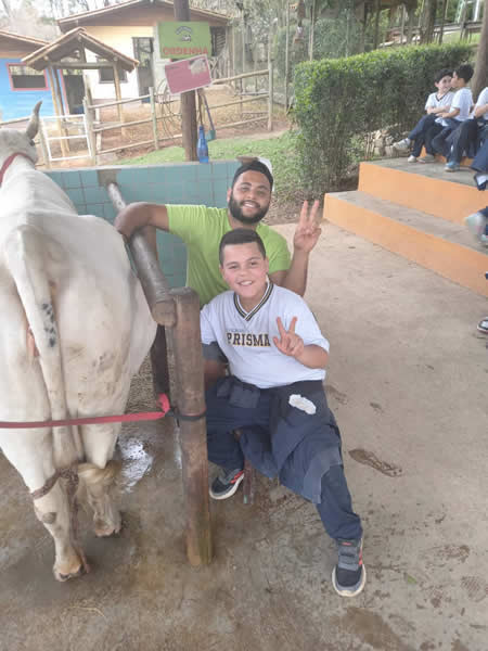 Bicho Mania 2022